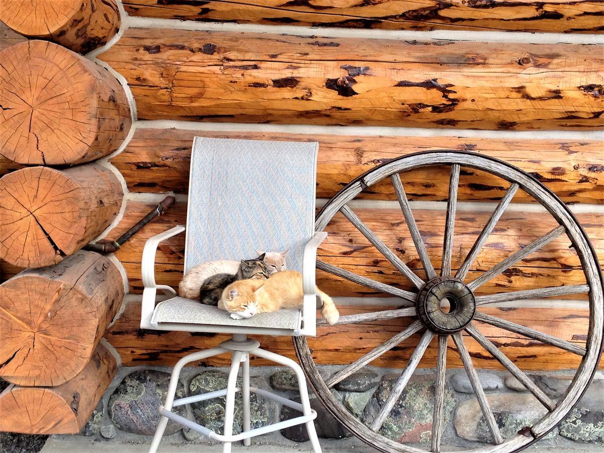 Mcdonald'S Ranch Lodge Gardiner Exterior foto